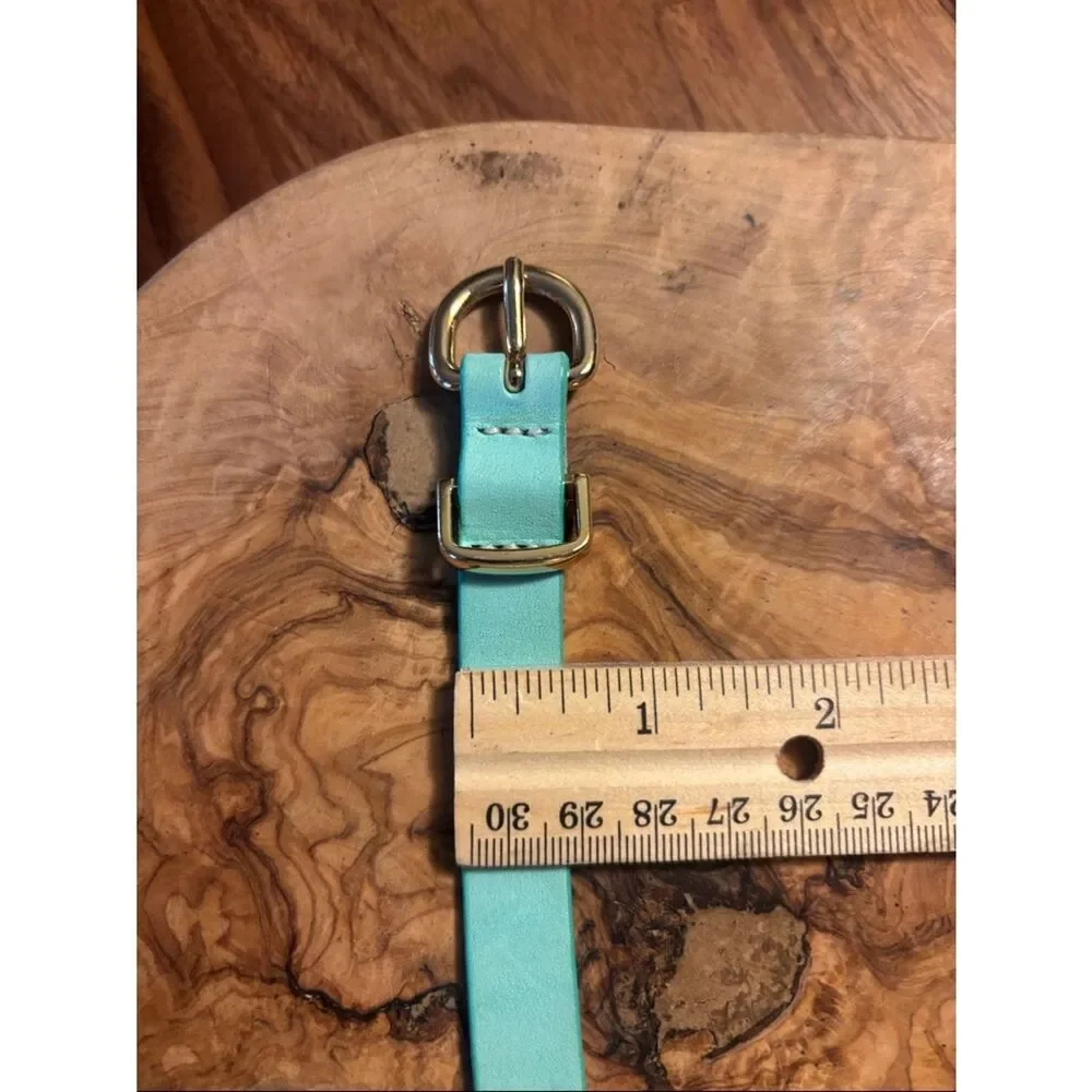 J. Crew Turqoise Skinny Leather Belt with Gold-Tone Buckle - XS - Picture 7 of 7